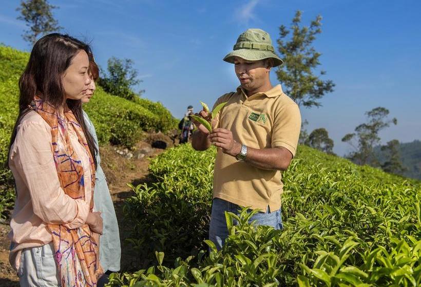 פנסיון Craig Appin By Jetwing