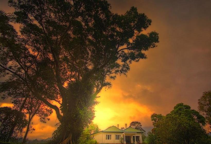 Пансион Mandira Dickoya Bungalow