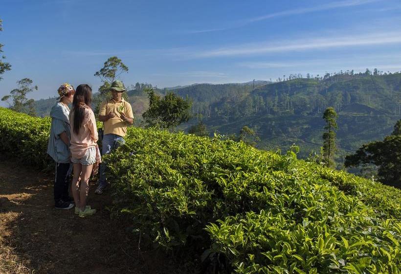 Пансион Mandira Dickoya Bungalow