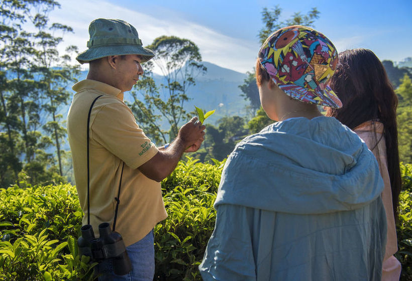 Пансион Mandira Dickoya Bungalow