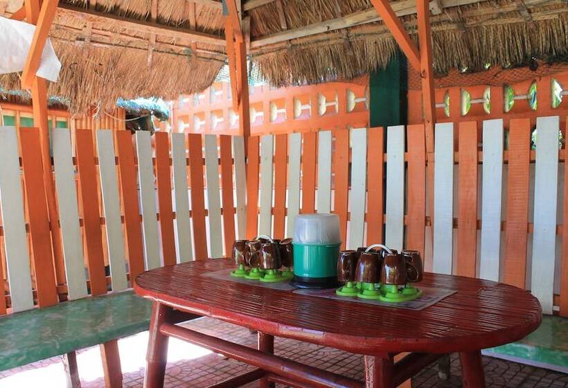 پانسیون Maxvir Inn Beach Resort