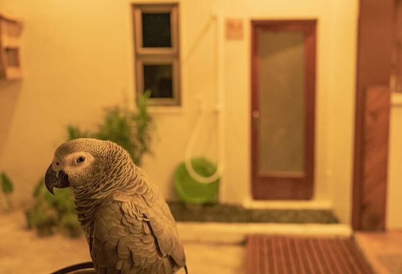 پانسیون Nala Island Village