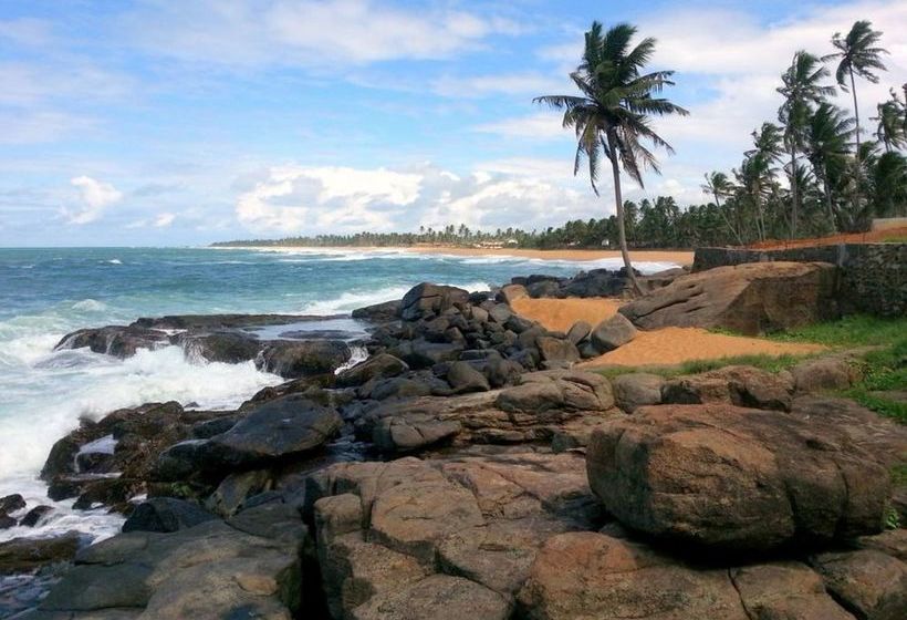 Пансион New Ocean Hill