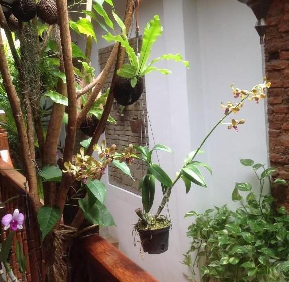 Pension Palm Mansion Boutique Suites