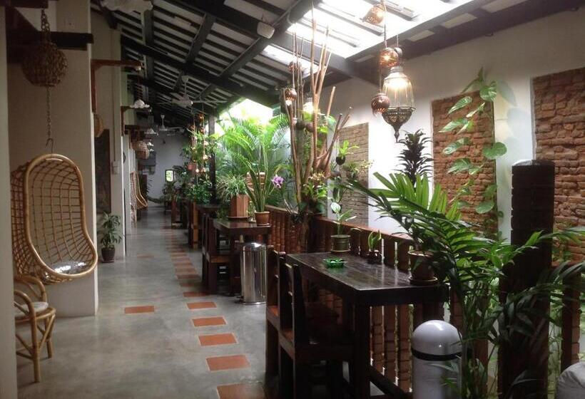 Pension Palm Mansion Boutique Suites