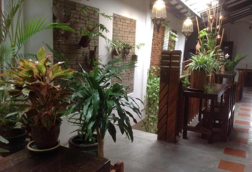 Pension Palm Mansion Boutique Suites