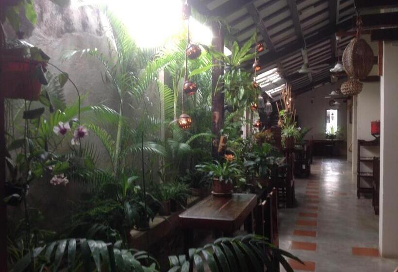 Pension Palm Mansion Boutique Suites