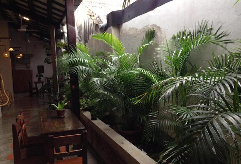 Pension Palm Mansion Boutique Suites