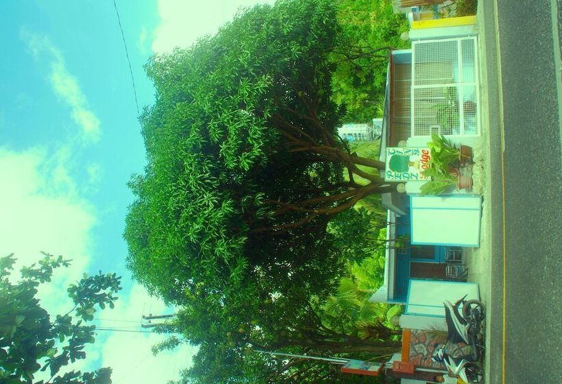 پانسیون Pedz Cing Mango Lodge