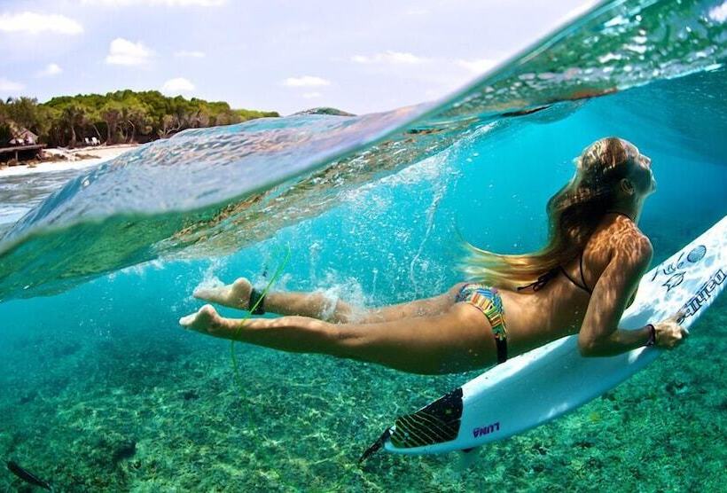 بنسيون Sea Song