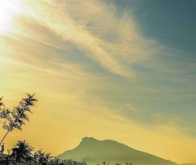 ペンション Strathdon By Zinc Journeys