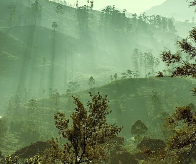 ペンション Strathdon By Zinc Journeys