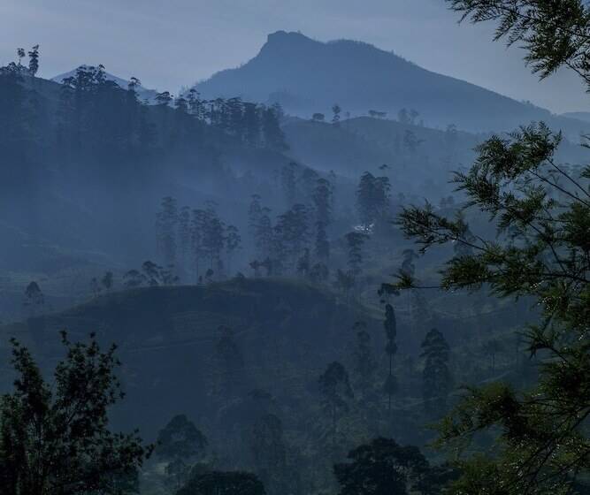 ペンション Strathdon By Zinc Journeys