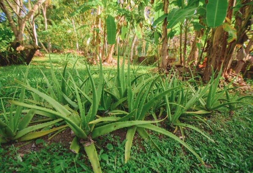 بنسيون Thalpe Walawwa Heritage Villa