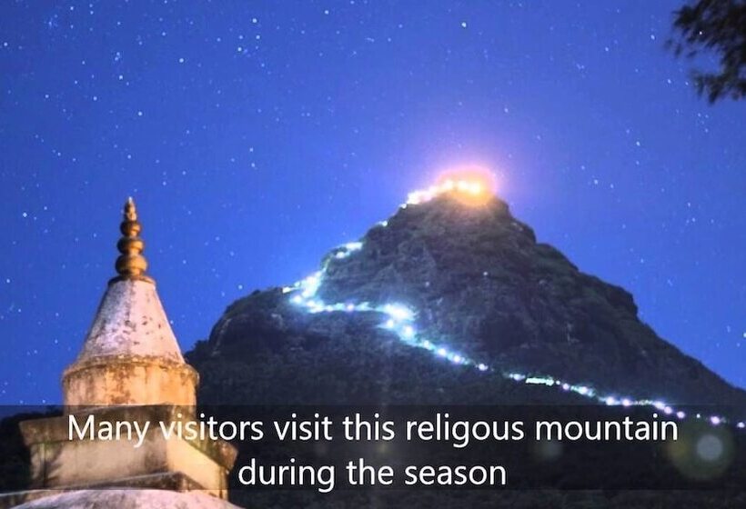 Пансион The Greendale Bungalow