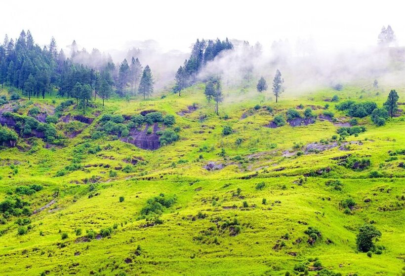 Пансион The Greendale Bungalow