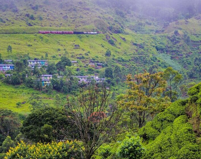 Пансион The Greendale Bungalow