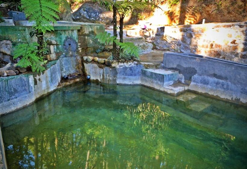 Пансион The Greendale Bungalow