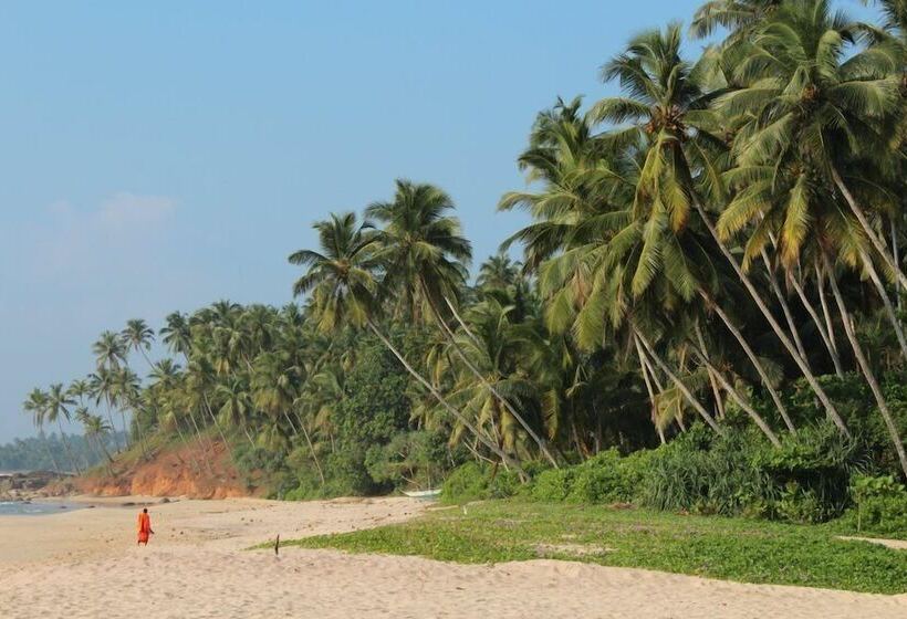 膳宿费 Villa Nicomar