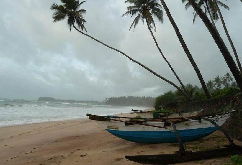 膳宿费 Villa Nicomar