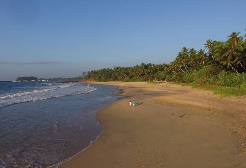 膳宿费 Villa Nicomar