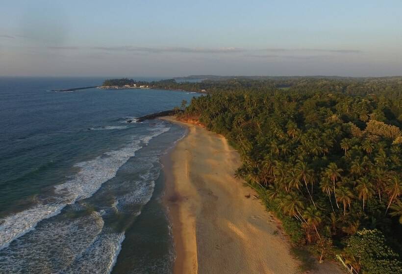 膳宿费 Villa Nicomar