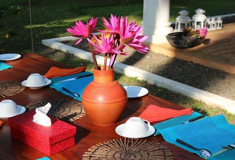 膳宿费 Villa Nicomar