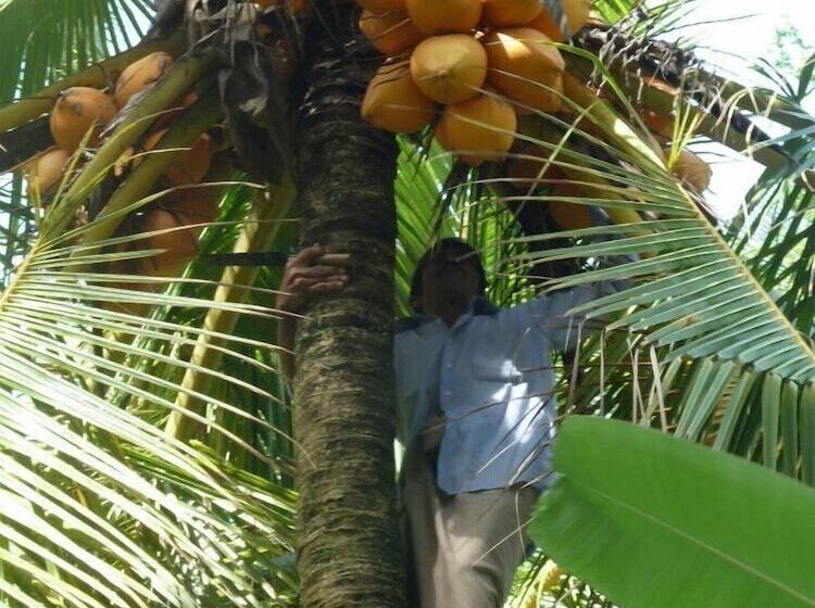 膳宿费 Villa Nicomar