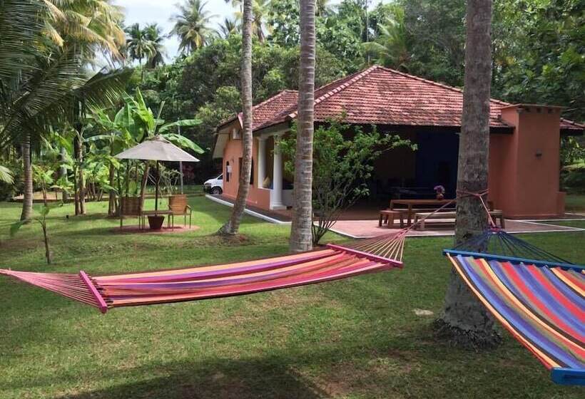 膳宿费 Villa Nicomar