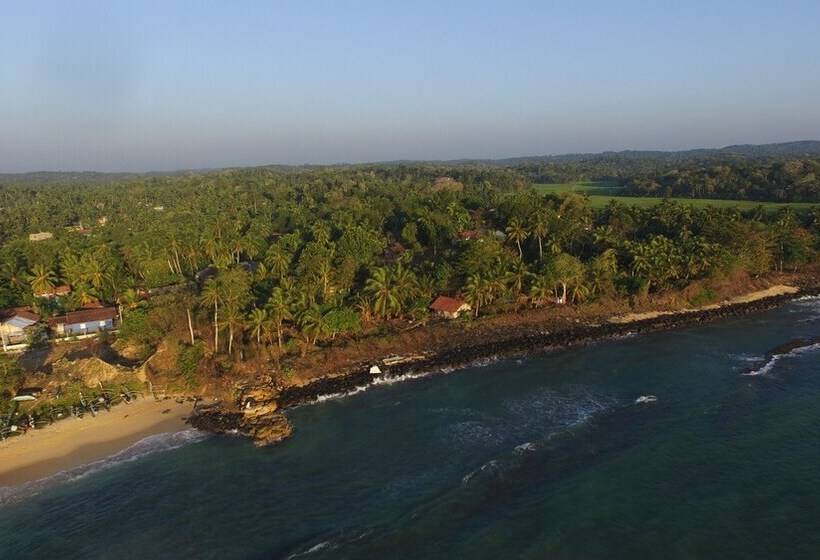 膳宿费 Villa Nicomar