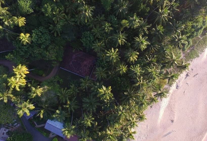 膳宿费 Villa Nicomar