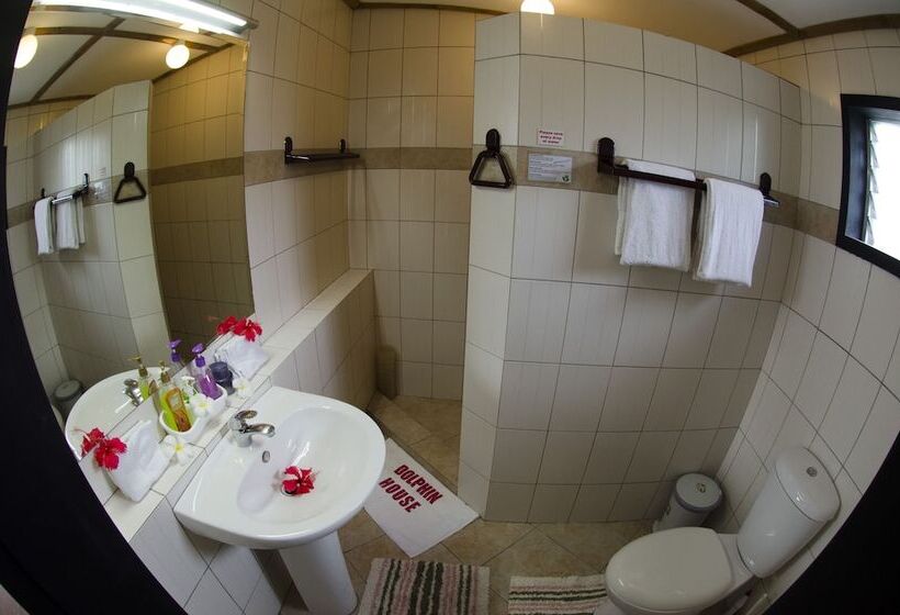 Dolphin House Resort Moalboal