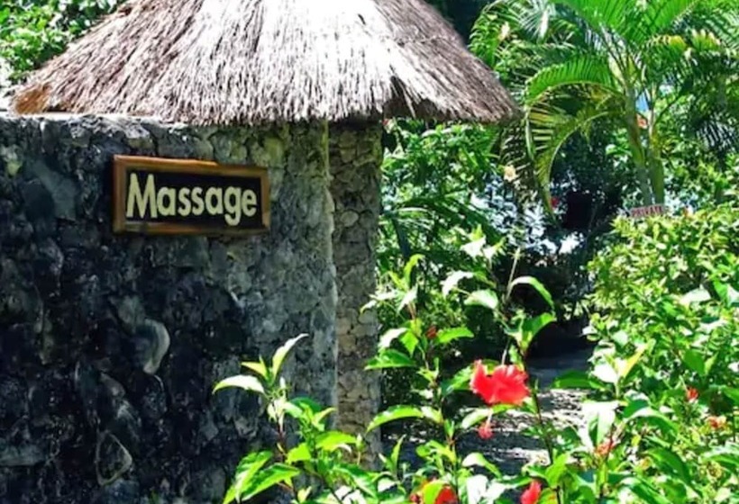 Dolphin House Resort Moalboal