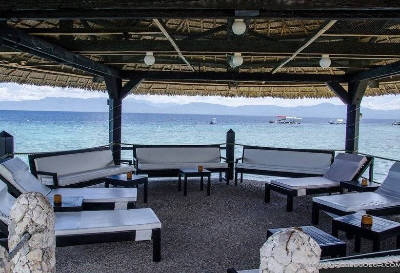 Dolphin House Resort Moalboal