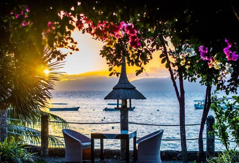 Dolphin House Resort Moalboal