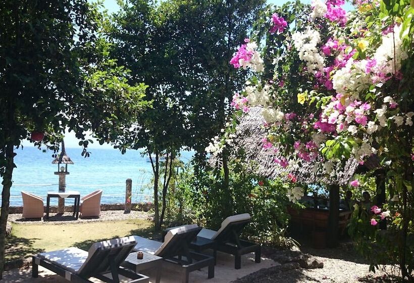 Dolphin House Resort Moalboal