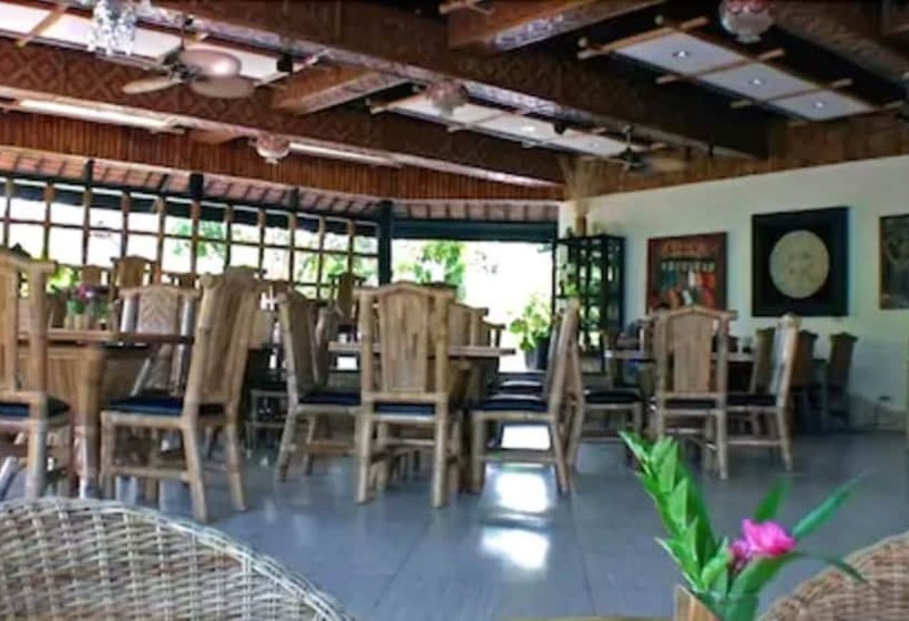 Dolphin House Resort Moalboal