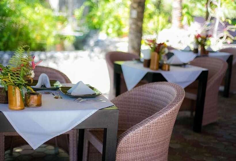 Dolphin House Resort Moalboal