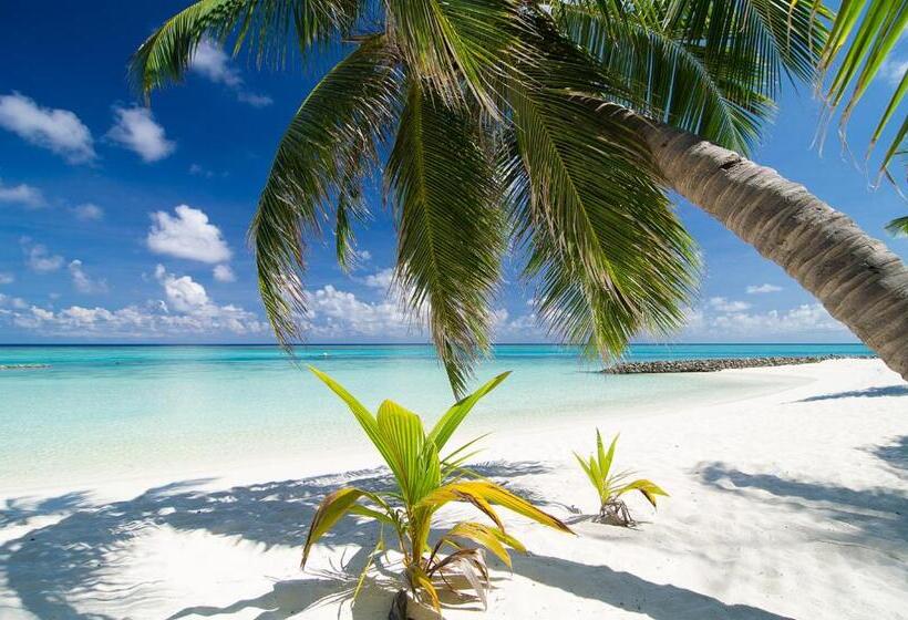 Summer Island Maldives Resort