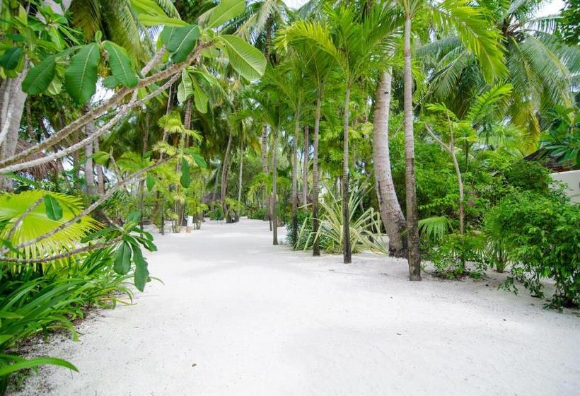 Summer Island Maldives Resort