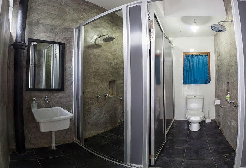 Roomies Boutique Bed & Breakfast  Hostel