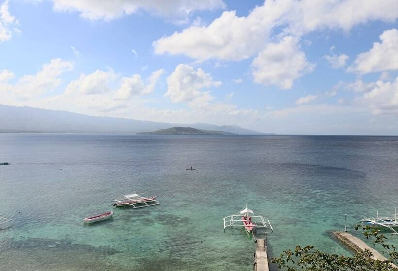 Turtle Bay Dive Resort