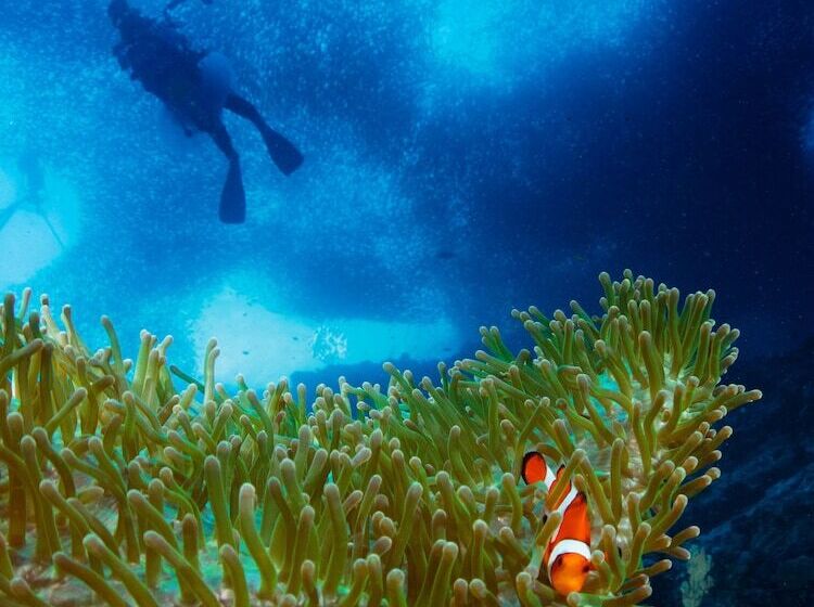 Turtle Bay Dive Resort