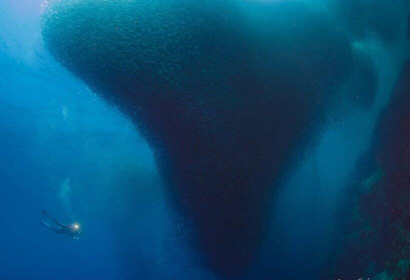 Turtle Bay Dive Resort