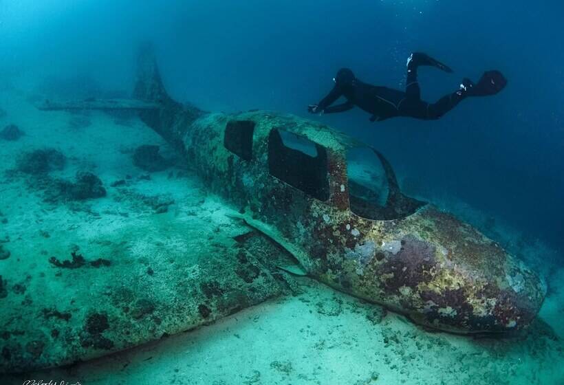 Turtle Bay Dive Resort