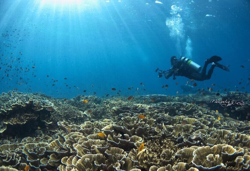 Turtle Bay Dive Resort