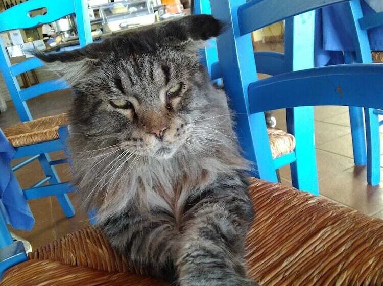 Agriturismo Colleverde