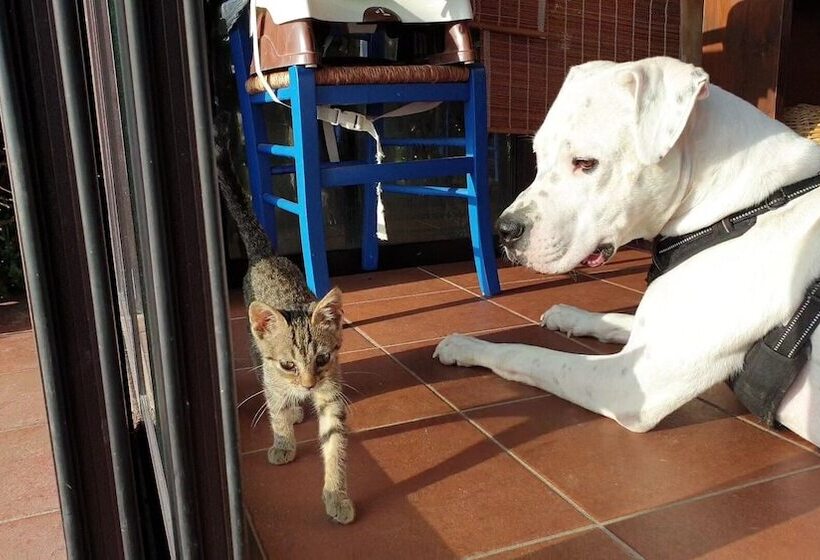 Agriturismo Colleverde