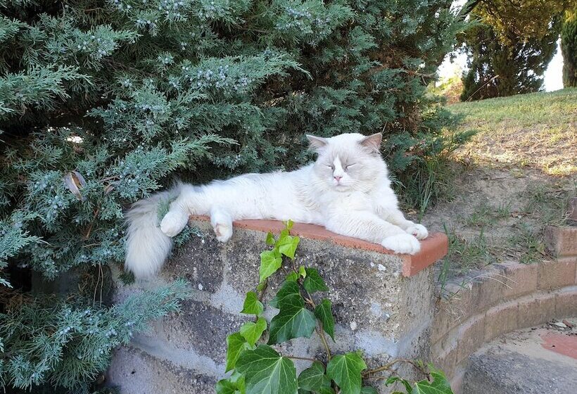 Agriturismo Colleverde