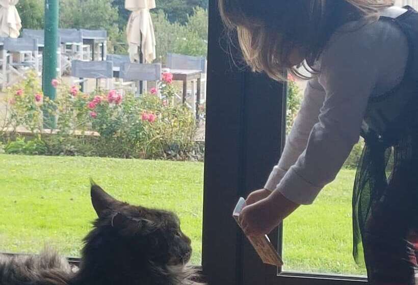 Agriturismo Colleverde